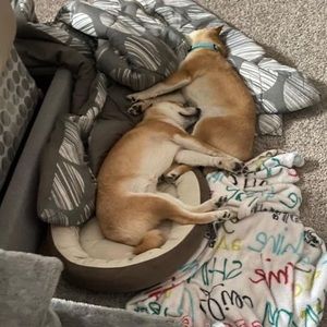 Meet your Posher, Carly